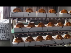 สายการผลิตไฟ LED กันน้ำของโรงงาน WEI Lighting