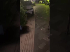 ส่องแสง ชีวิต และ สร้าง บรรยากาศ ที่อบอุ่น