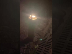 ไฟสว่างที่ลานกลางแจ้งด้วย Lawn In Order Landscapes!